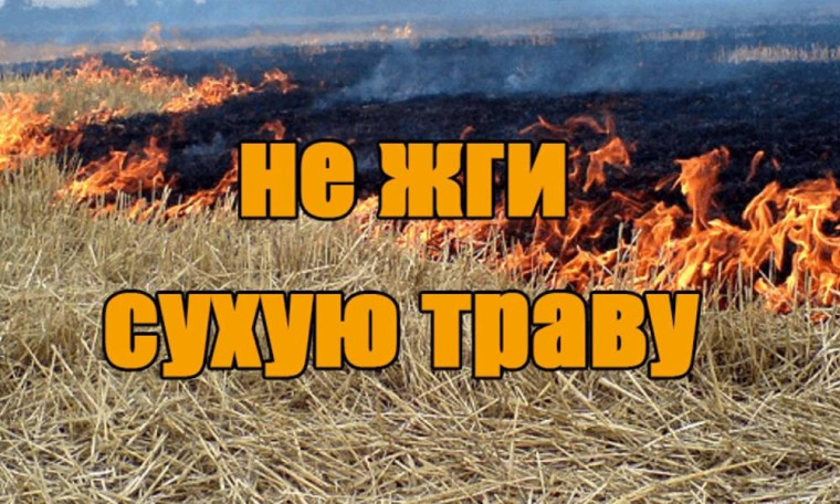 Пал травы - большой пожар!.